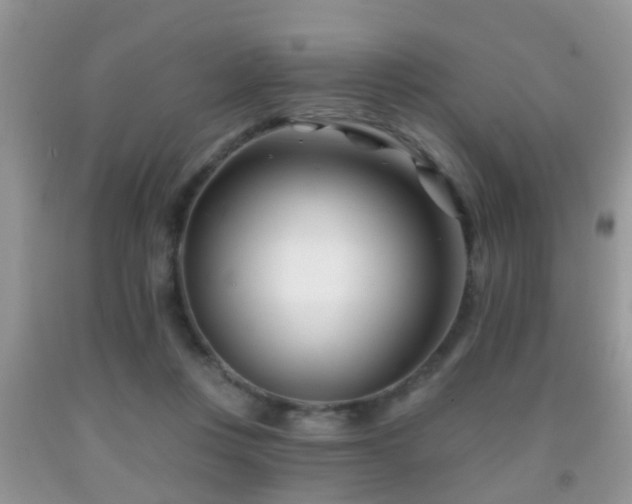 X0000091990359200709061423