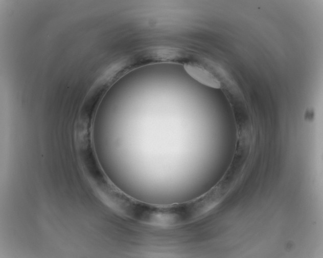 X0000091990360200709061423