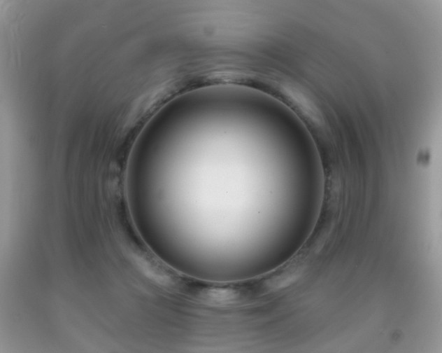 X0000091990361200709061423