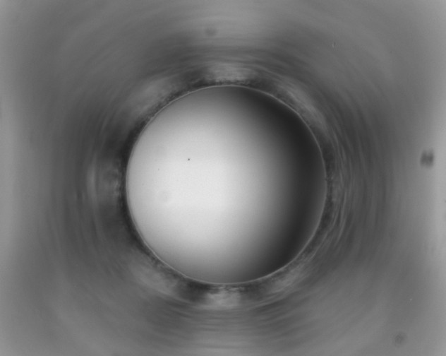 X0000091990362200709061423