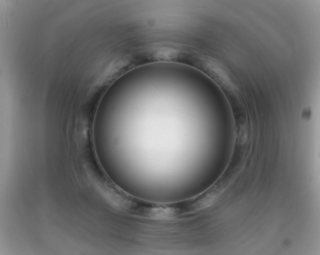 X0000091990363200709061423