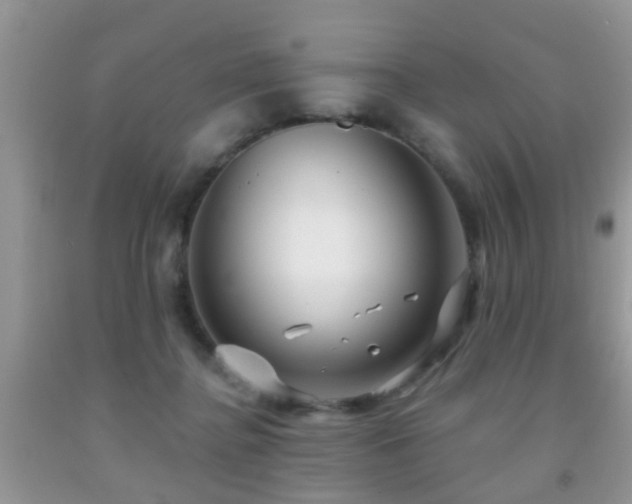 X0000091990364200709061423