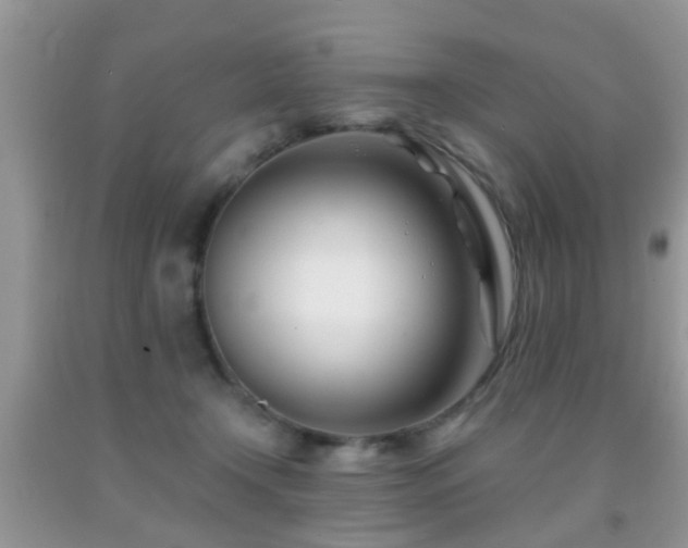 X0000091990366200709061423