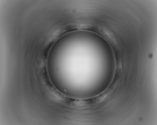 X0000091990367200709061423