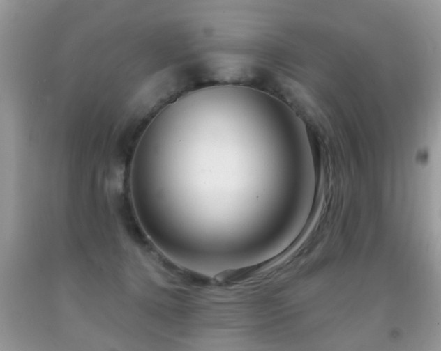 X0000091990368200709061423