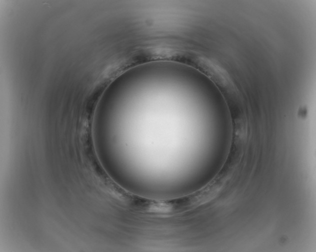 X0000091990369200709061423