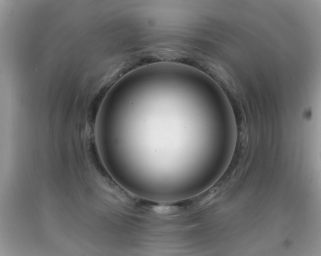 X0000091990371200709061423