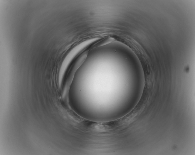 X0000091990372200709061423