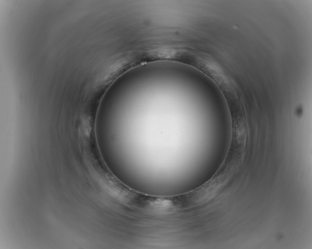 X0000091990374200709061423