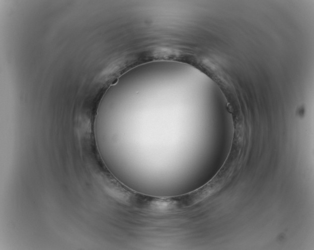 X0000091990375200709061423