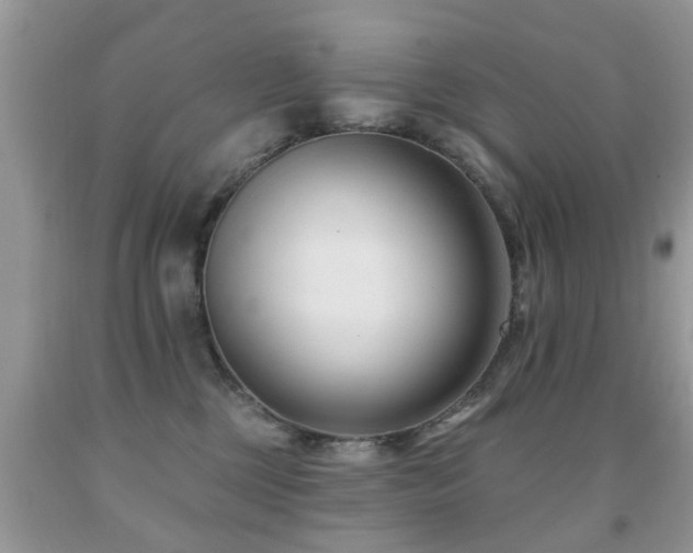 X0000091990377200709061423