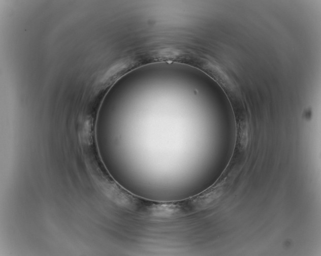 X0000091990378200709061423