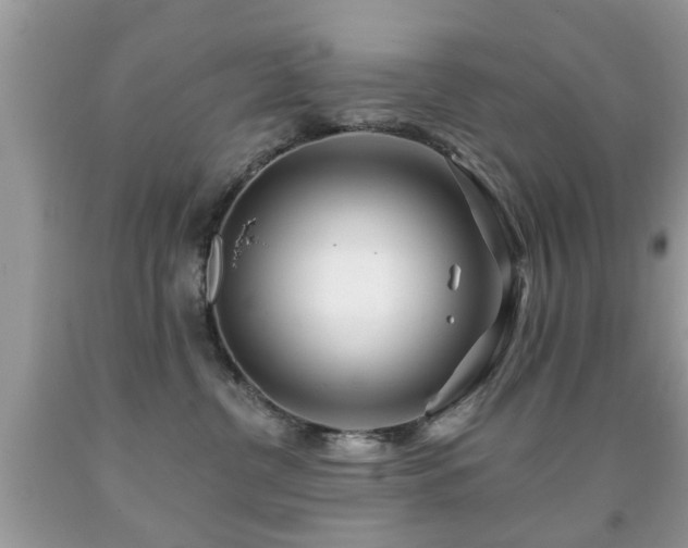 X0000091990380200709061423