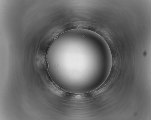 X0000091990382200709061423