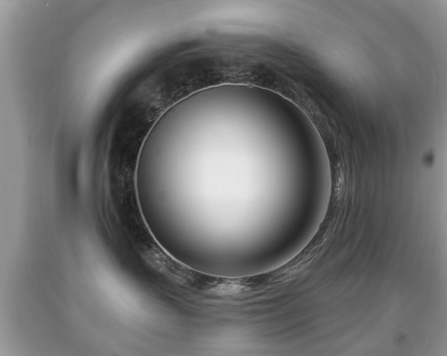 X0000091990383200709061423