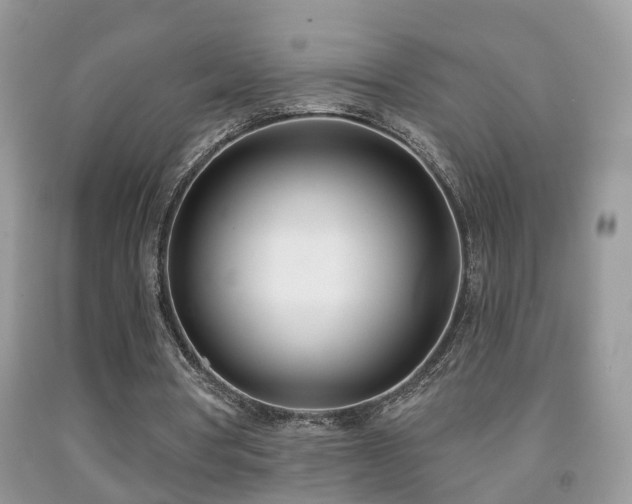 X0000091990386200709061423