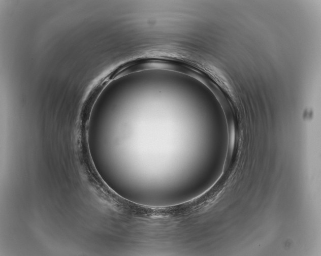X0000091990388200709061422