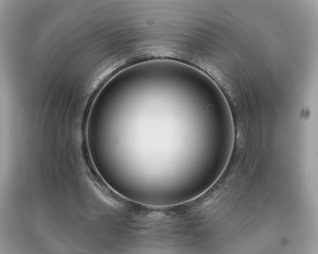 X0000091990390200709061422