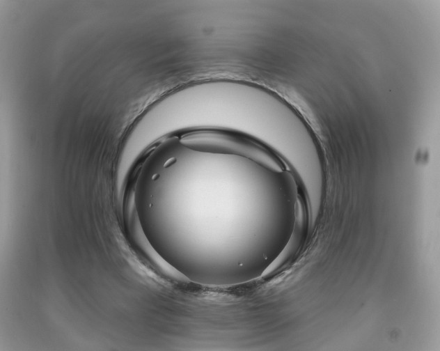 X0000091990393200709061422