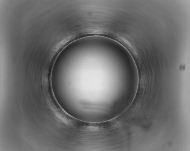 X0000091990394200709061422