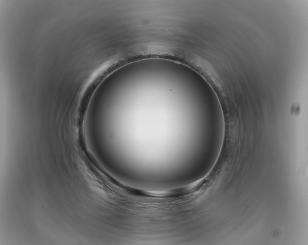 X0000091990395200709061422