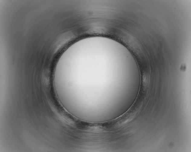 X0000091990396200709061422