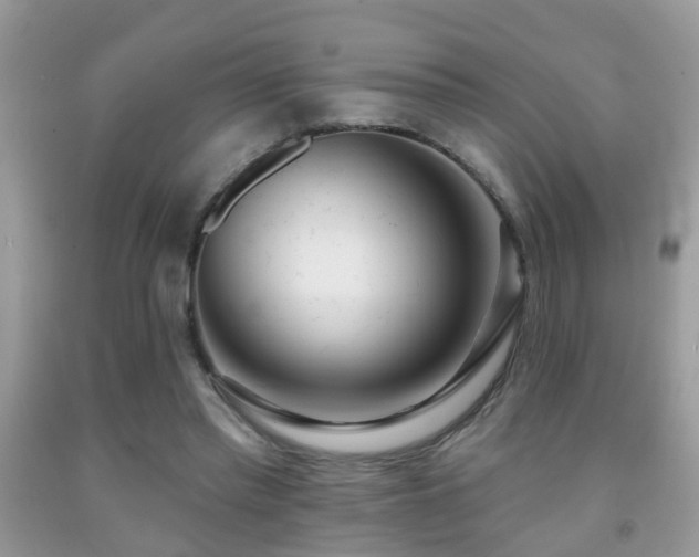 X0000091990397200709061422