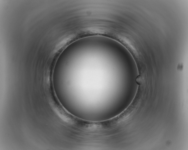 X0000091990398200709061422