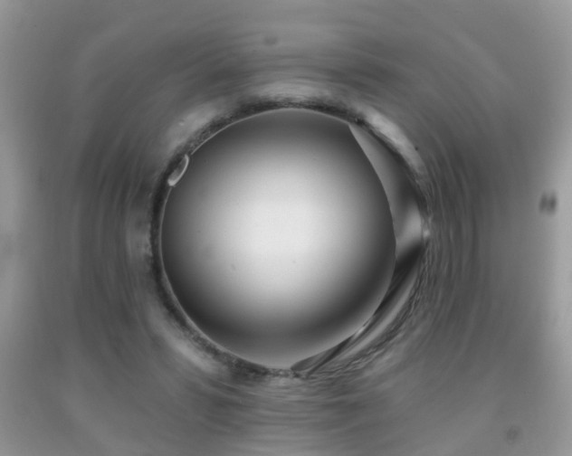 X0000091990399200709061422