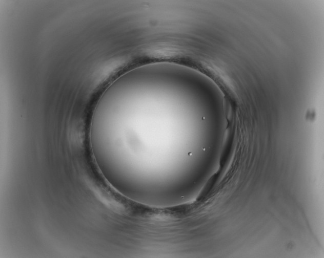 X0000091990400200709061422