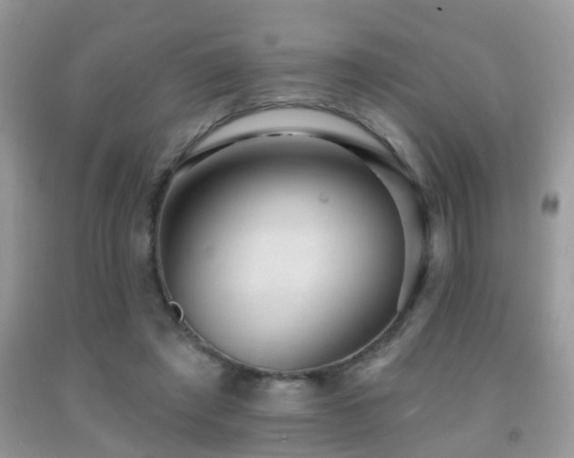 X0000091990401200709061422