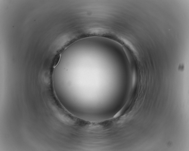 X0000091990403200709061422