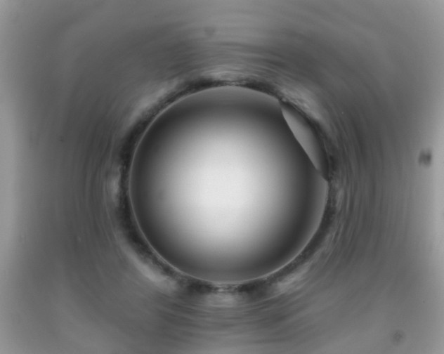 X0000091990404200709061422