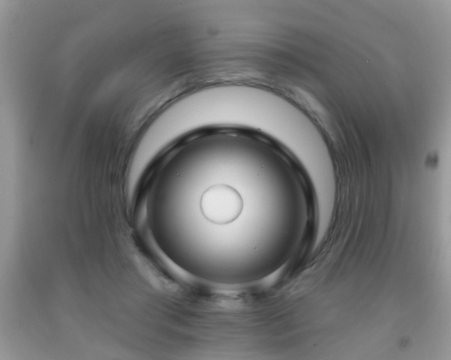 X0000091990405200709061422