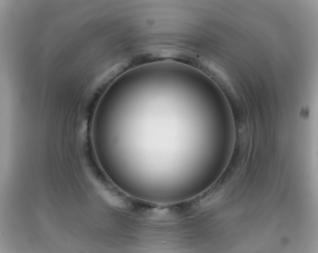 X0000091990406200709061422