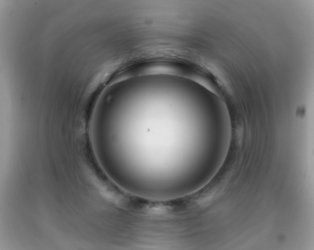 X0000091990407200709061422