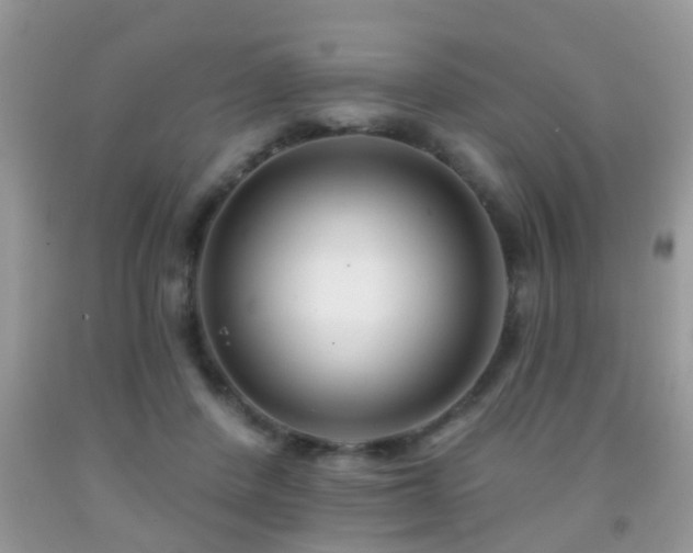 X0000091990408200709061422