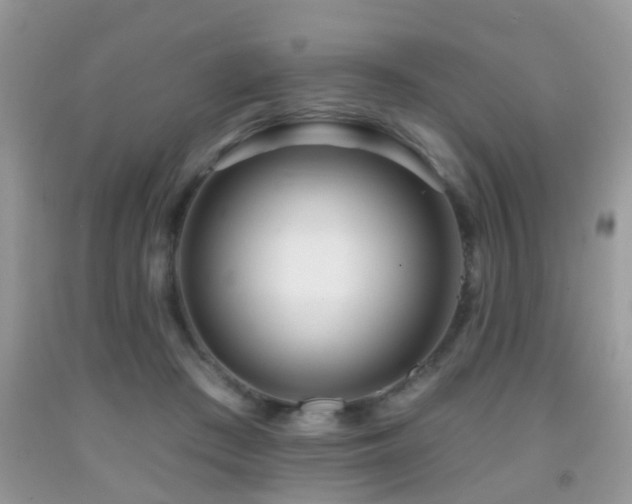 X0000091990409200709061422