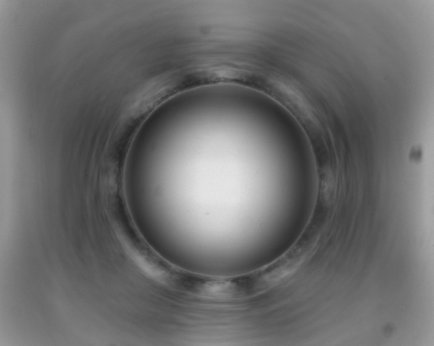 X0000091990410200709061422