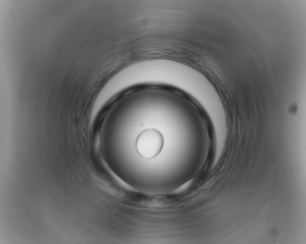 X0000091990412200709061422