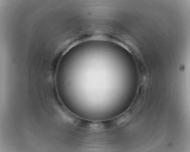 X0000091990415200709061422