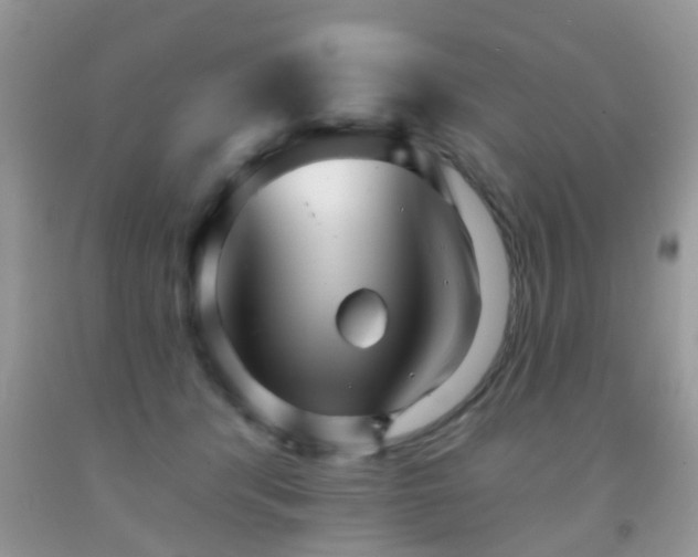 X0000091990416200709061422