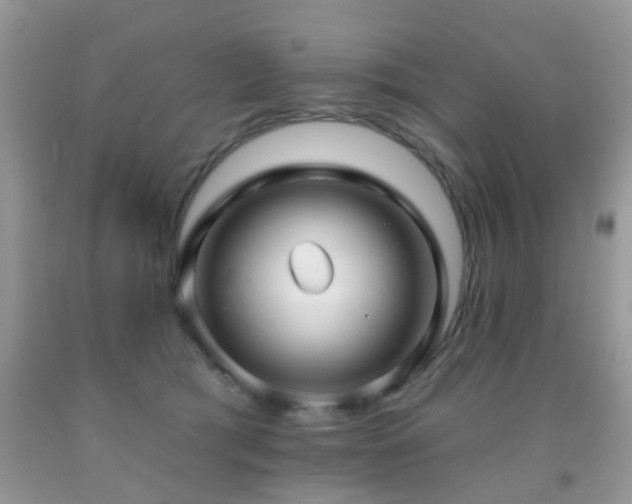 X0000091990417200709061422