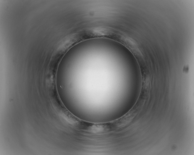 X0000091990418200709061422