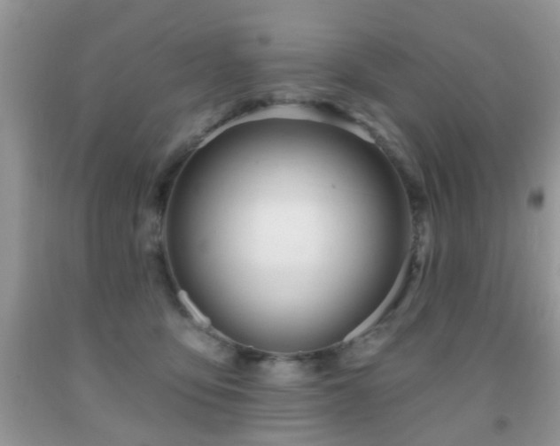X0000091990419200709061422