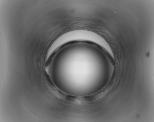 X0000091990420200709061422