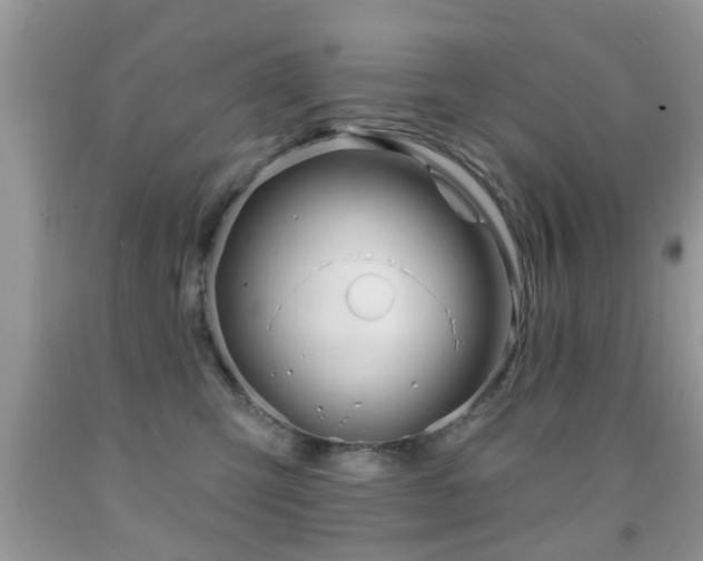 X0000091990423200709061422