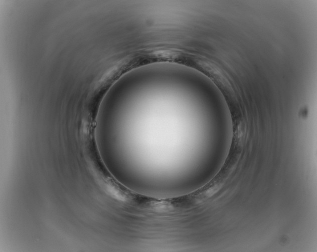 X0000091990424200709061422
