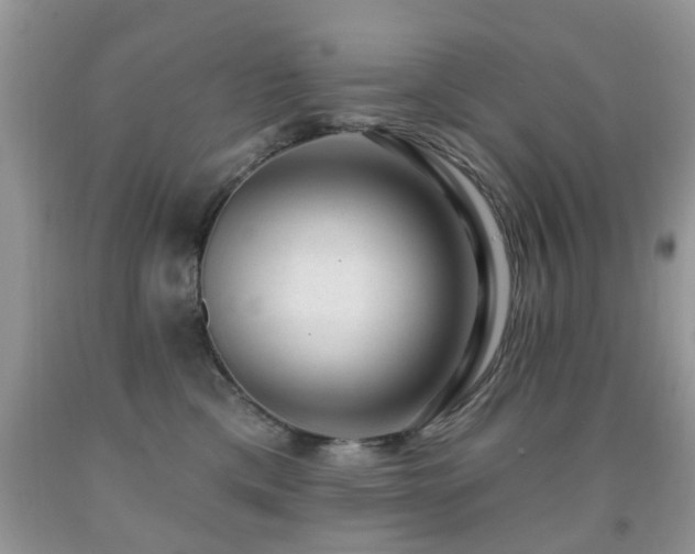 X0000091990425200709061422