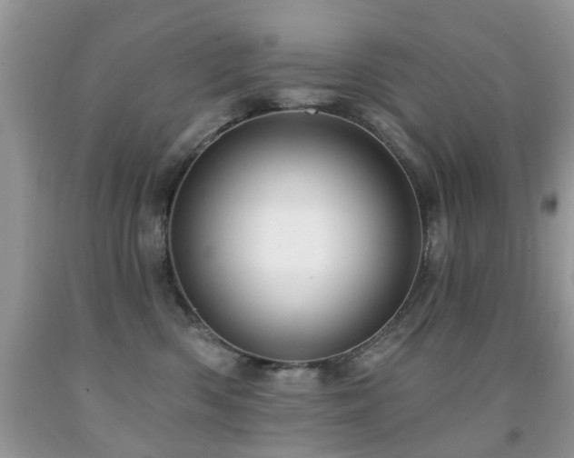 X0000091990426200709061422